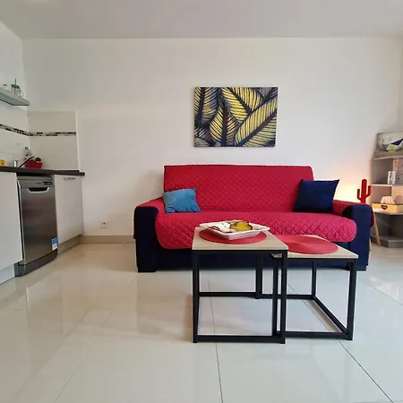 Grand Studio De Standing, 50 Plages, Clim Apartman